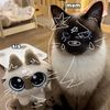 rara_rawrs6