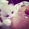 pretty.aull2