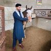 .gujjar.nawab.1