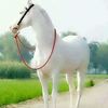 mohammedraza212