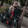 sufiyan.ahmed487