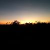aril.firmansyah880