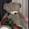 amir.amira74