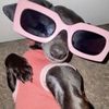 salwa_rose0