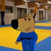 judoka_so2