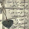 user72886034493260