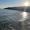ellie_1974927