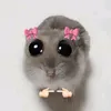 nasstyzzz70
