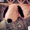 shr.ly_7