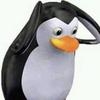 lepinpinguiguin