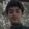 syedaarijhussain