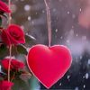 cafer.xani