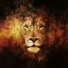 zeeshan68289