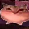 bigpoo33