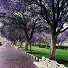 al.khobar.city