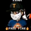 teamfree.fire24