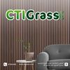 ctigrass