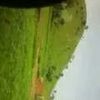 farahhamed.hamedf
