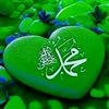 sami19210186865690
