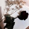 nanascreets01