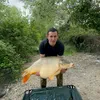 daniel86tri