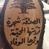 alimohmed3423
