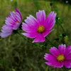 mima_5757