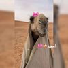 aya.ali4180