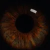 intrvbllxxx