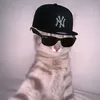 whs.vnzzzz0