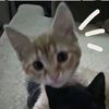 elizaazxc1