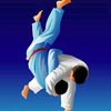 mahdi.hapkido
