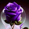 user7502346153927