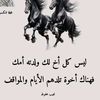 user14216762843187