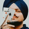 abid.sidhu.5911