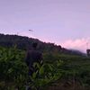 bang.rustam2