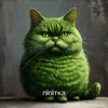 pipitka_2account
