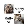 monty.ruffy