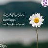 user4194697223541