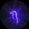dittz089