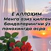 sonichka466