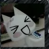c.vng.n0