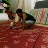 udin.udin8898