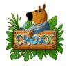 choxx899