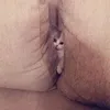 chipcuteo209