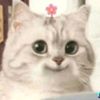 pretty_mputt3