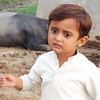 mumtaz.9986
