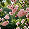 mohammod1402