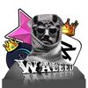 __waleed.55__