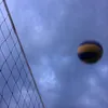 elya_1709